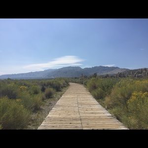 Meet your Posher, Maya